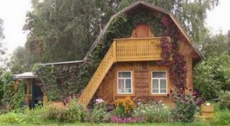 Картинка по теме - как защитить почву от эрозии