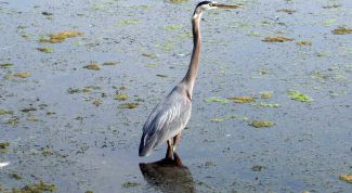 Картинка по теме - как предотвратить экологические катастрофы