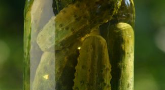 Картинка по теме - как закрывать огурцы