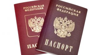 Картинка по теме - как получить паспорт гражданина россии