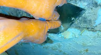 Картинка по теме - как снять масляную краску со стен