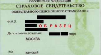 Картинка по теме - как сделать пенсионное страховое свидетельство