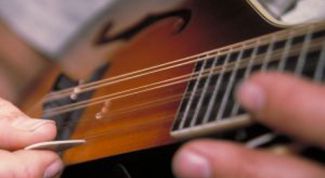 Картинка по теме - как играть на мандолине