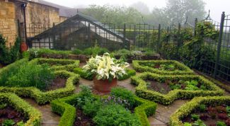 Картинка по теме - как сделать огород красивым