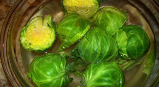Картинка по теме - как варить брюссельскую капусту