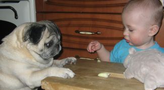 Картинка по теме - как воспитать самостоятельность у ребенка