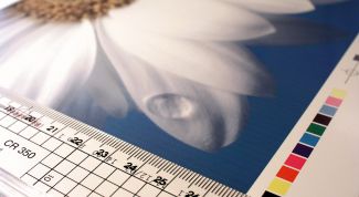 Картинка по теме - как уменьшить gif картинку