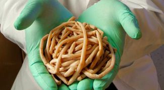 Картинка по теме - как лечить аскаридоз