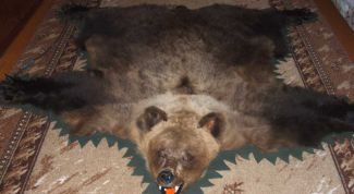 Картинка по теме - как выделать шкуру медведя