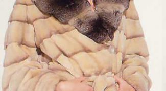 Картинка по теме - как подстричь шубу