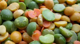 Картинка по теме - как приготовить чечевичный суп