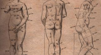 Картинка по теме - как рисовать человеческое тело