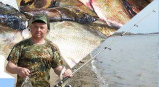 Картинка по теме - как подобрать спининг