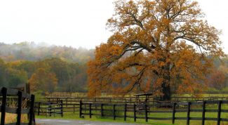 Картинка по теме - как установить ограду