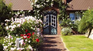 Картинка по теме - как оформить полисадник