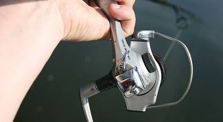 Картинка по теме - как выпрямить леску