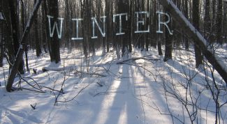 Картинка по теме - как добавить надпись на фото