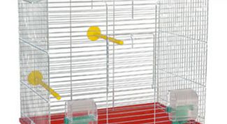 Картинка по теме - как выбрать клетку для попугая