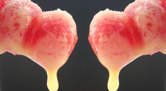 Картинка по теме - как сварить сахарный сироп