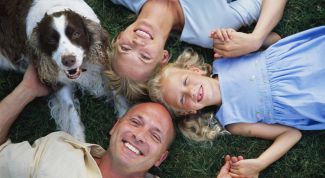 Картинка по теме - как пережить потерю питомца