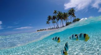 Картинка по теме - как создавать свои обои для рабочего стола