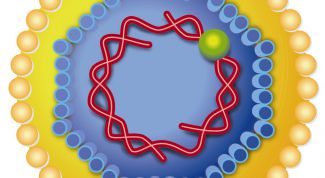 Картинка по теме - как выявить гепатит