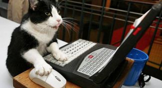 Картинка по теме - как обновить антивирус