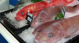 Картинка по теме - как торговать рыбой