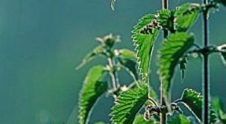 Картинка по теме - как очистить кровь