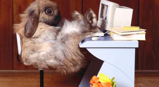 Картинка по теме - как восстановить профиль