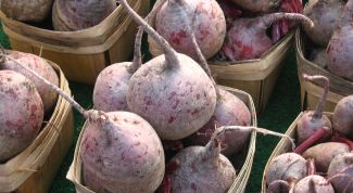 Картинка по теме - как заквасить свеклу