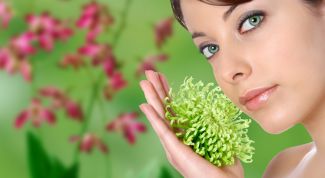 Картинка по теме - как снизить пролактин народными средствами