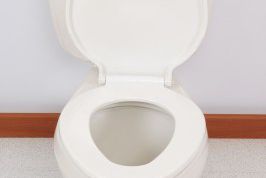 Картинка по теме - как установить унитаз самостоятельно