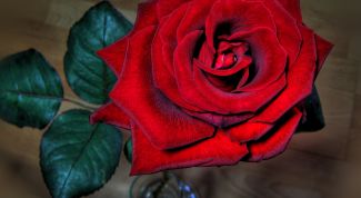 Картинка по теме - как встретить жену с работы