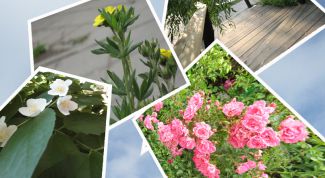 Картинка по теме - как сделать слайд-фильм