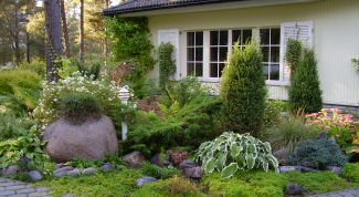 Картинка по теме - как оформить куплю садового участка