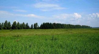 Картинка по теме - как узнать, чья земля