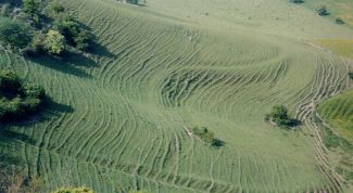 Картинка по теме - как рассчитать стоимость земли