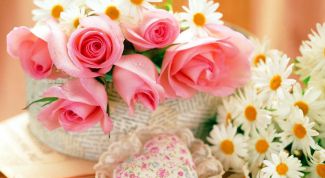 Картинка по теме - как поздравить друзей