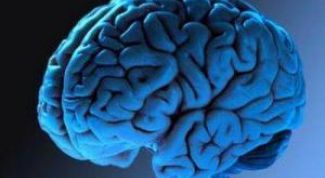 Картинка по теме - как определить ведущее полушарие