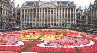 Картинка по теме - как уехать в бельгию