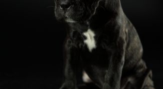 Картинка по теме - как научиться играть на клавишах