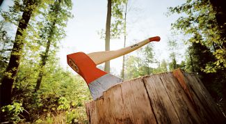 Картинка по теме - как наточить топор