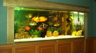 Картинка по теме - как встроить аквариум в стену