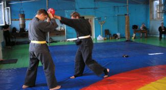 Картинка по теме - как наработать силу удара