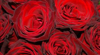 Картинка по теме - как сделать вечер романтичным