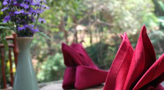 Картинка по теме - как складывать салфетки для сервировки стола