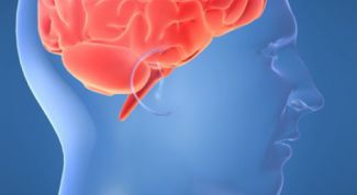 Картинка по теме - как сохранить мозг здоровым