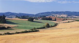 Картинка по теме - как изменить целевое назначение земельного участка