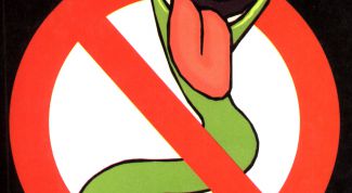 Картинка по теме - как избавиться от паразитов в организме человека